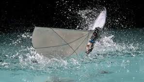 Engineers build robot that swims and flies to mimic diving birds