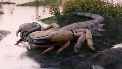 World's largest scorpion roamed UK 400 million years ago, says expert