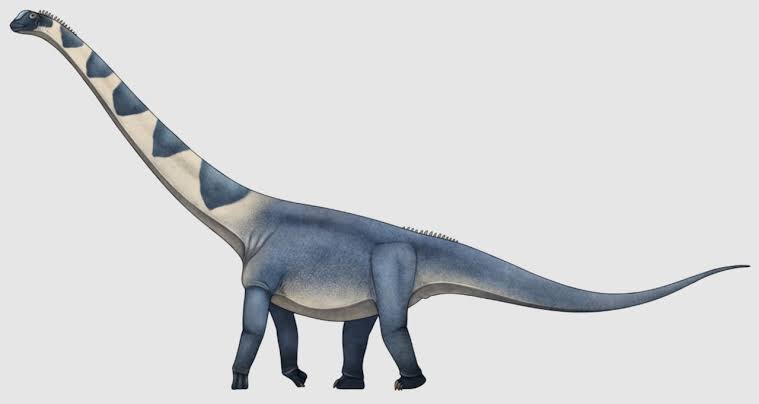 New dinosaur species 4 times larger than Tyrannosaurus rex discovered