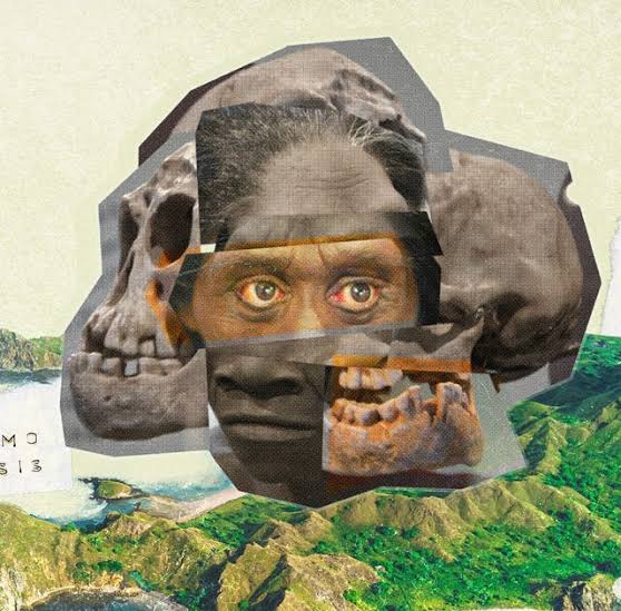 This Tiny, Apelike Human Relative Could Rewrite the History of Our Species