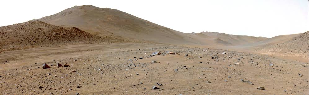 A martian rock has lots of carbon on it, and it’s not clear why