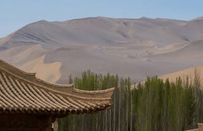 The 66 Billion Trees of China’s Largest Reforestation Project Aren’t Acting Like a Natural Forest