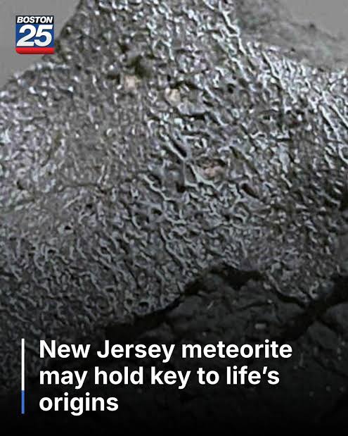 A 2024 meteorite contains building blocks of life, hinting at how life began in our solar system.