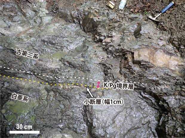Japan-led team finds layer in Hokkaido showing asteroid impact that wiped out dinosaurs