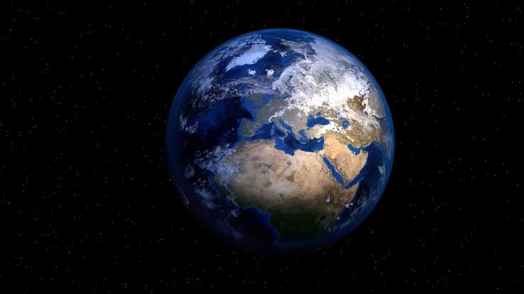 Humans' closest invertebrate ancestors date back much further than thought