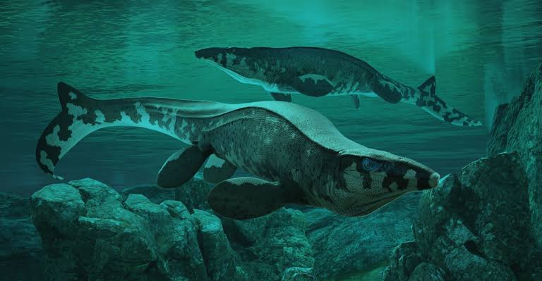 Exclusive: There’s a new T. rex in town—and this giant beast ruled the seas