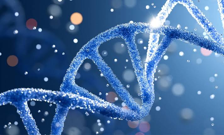 Scientists Identified the DNA ‘Switch’ Behind Every Trait That Makes Us Human