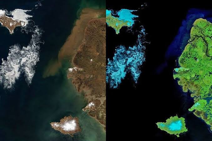 Signs of Thaw in the Bering Sea