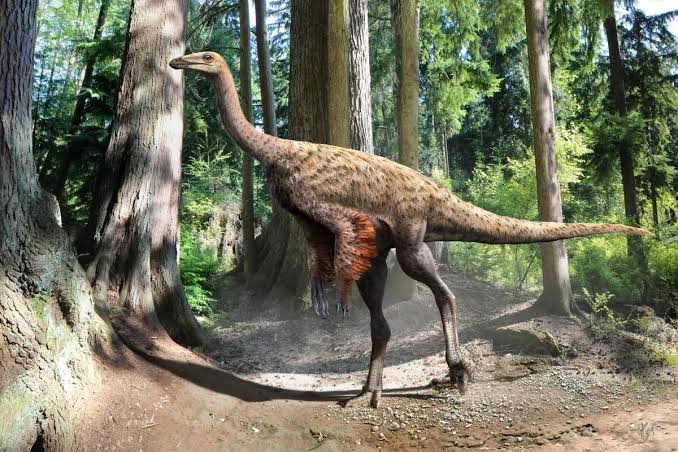 Tail belonging to strange ostrich-like dinosaur discovered off coast of Canada