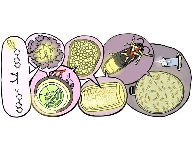 Firefly brightness holds a cautionary tale about accepting older measurements