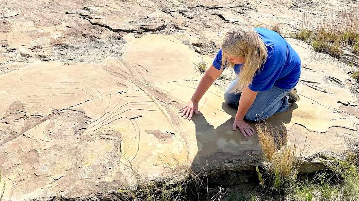 Newcastle Family 'Shell-Shocked' By Vandalism Of Rare Dinosaur Footprints