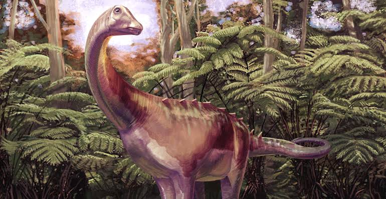 First ever dinosaur fossil discovered on Antarctica identified as a titanosaur