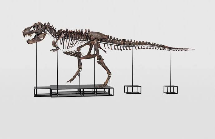 Why Do T-Rex Dinosaurs Have Mini Arms? Scientists May Have Discovered the Reason