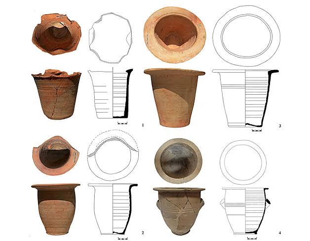 Scraped from ancient Roman toilets, these crusted remains expose a pathogen found far earlier than expected