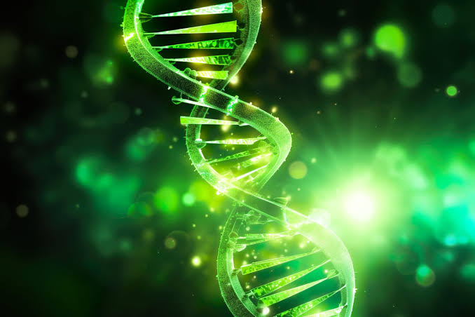 Scientists Discover a Gene That Boosts Youth – but It Comes With a Cost
