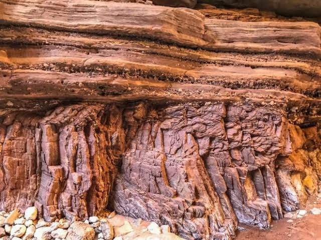 540-million-year-old poop ‘revolution’ may be the source of life as we know it: ‘Often overlooked’
