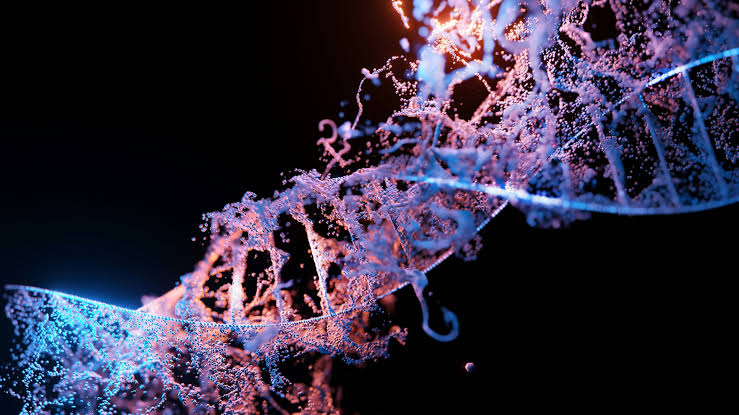 New CRISPR method makes it possible to control protein production in cells