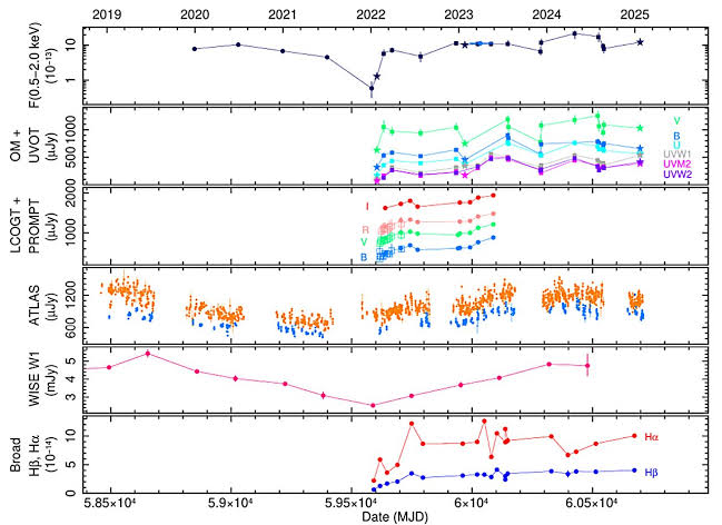 eROSITA discovers a 'changing-look' Seyfert galaxy