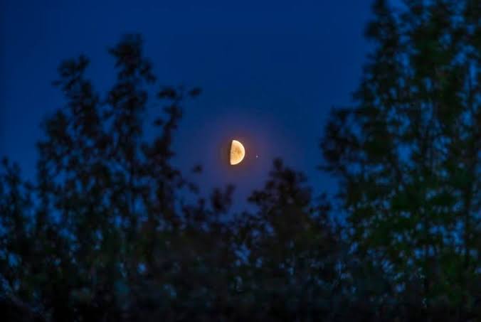 See The Moon Meet Two Of Summer’s Brightest Stars: Night Sky This Week