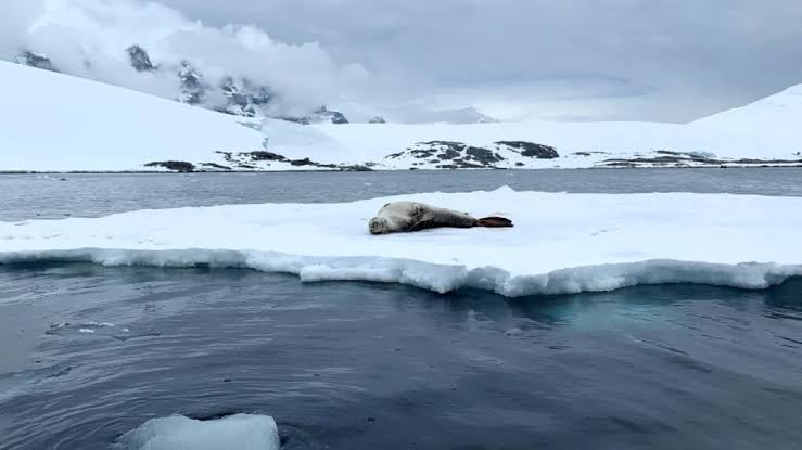 Sea Level Rise Has Doubled Since 2005, Study Finds