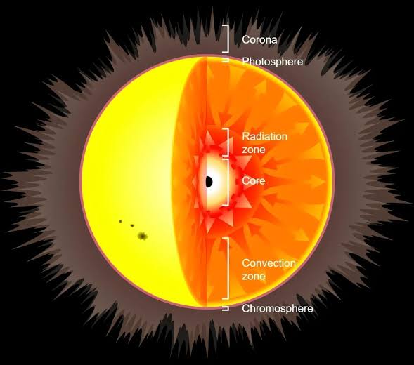 What happens to a star that captures a primordial black hole?