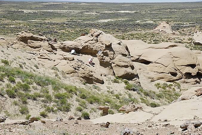 Fossils from Wyoming's Smiley Draw deepen understanding of early primate evolution