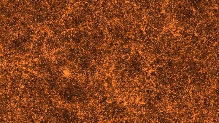 Famous study in error: the Universe isn’t anisotropic