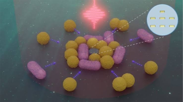 These Tiny Robots 50x Smaller Than a Hair Can Hunt and Move Bacteria