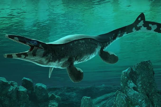Meet The "T. Rex Of The Sea"