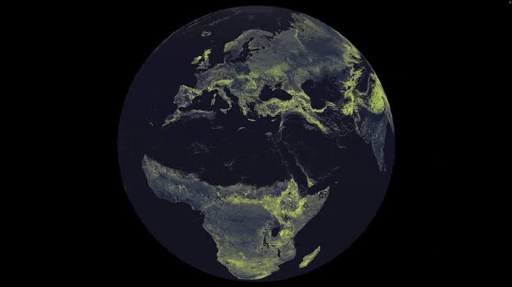 See the hidden fungal network so big it could stretch to Proxima Centauri and back