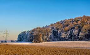 Climate researcher warns: Switzerland not prepared for the collapse of the Atlantic current | blue News