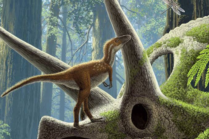 T. Rex Babies Were No Bigger Than House Cats—But Already Deadly