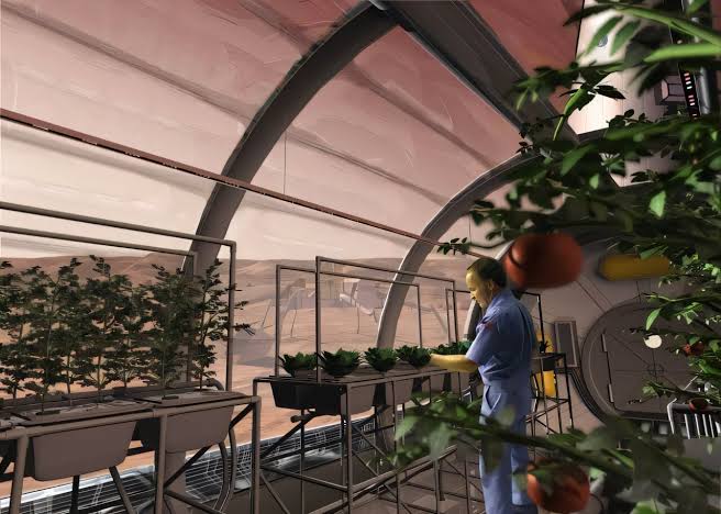 Mars fungi could make red planet regolith fertile for crops