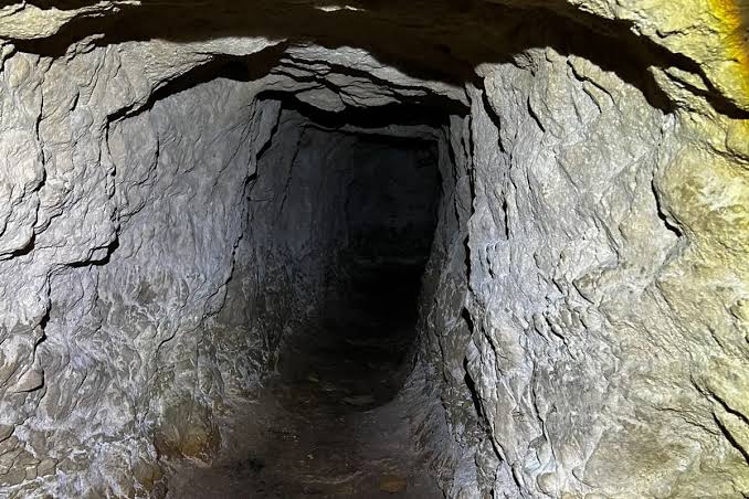 Researchers went into a 25m-deep tunnel in Greece – and found an unidentified creature clinging to the walls