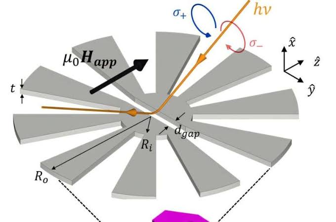 Tiny magnetic 'flowers' could expand how researchers image spintronic materials under stronger fields