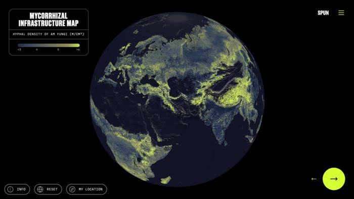 Mycorrhizal Infrastructure Map (IMAGE)