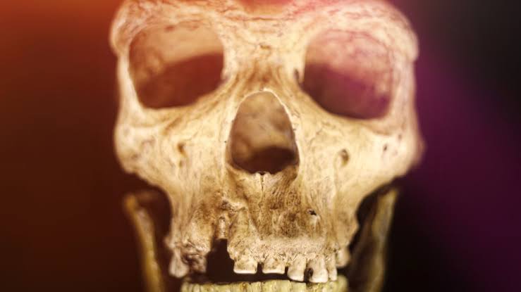 Humans And Neanderthals Shared a Culture For 20,000 Years, Cave Discovery Suggests