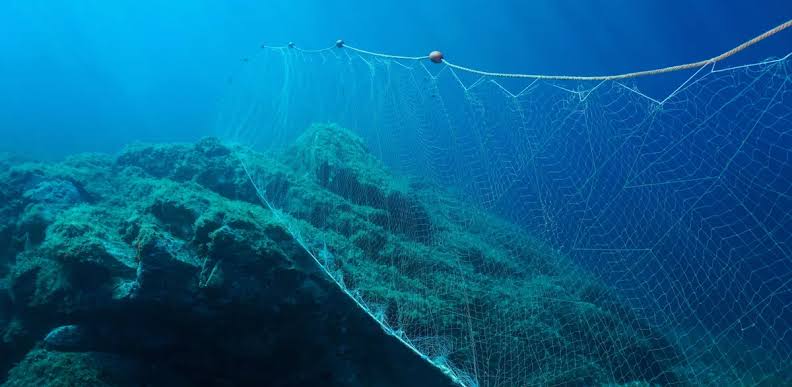 Scientists tied plastic bottles to fishing nets – and couldn't believe what happened next…
