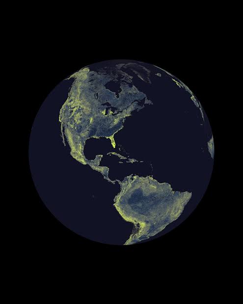 A Hidden Universe: Underground Fungi Could Stretch to the Sun Nearly a Billion Times