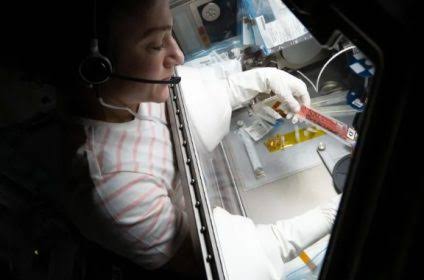 NASA Starts New Project Growing Stem Cells Aboard ISS