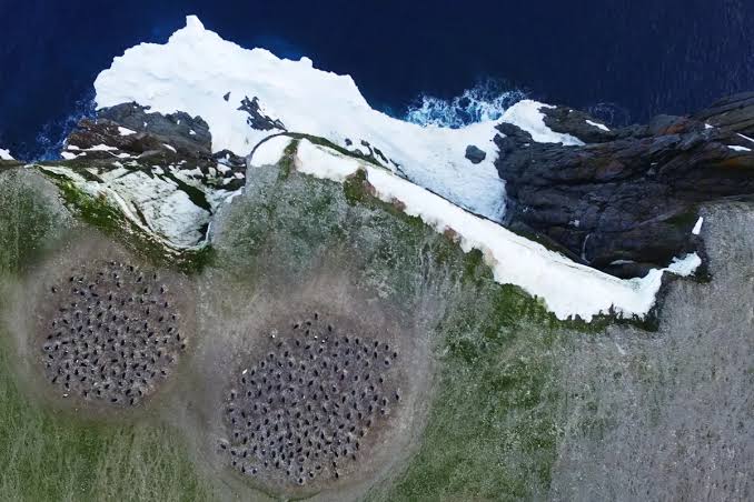 Scientists looked at Antarctica from the air. What they saw has them worried