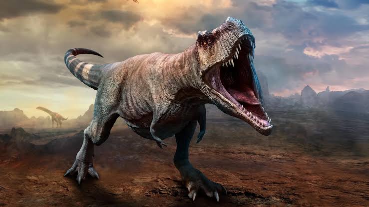 T. rex took 40 years to reach full size, scientists find