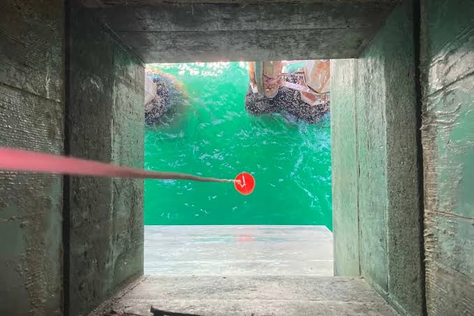 Scientists took water samples from a pier in California – and made a surprising discovery about a "ruthless predator"