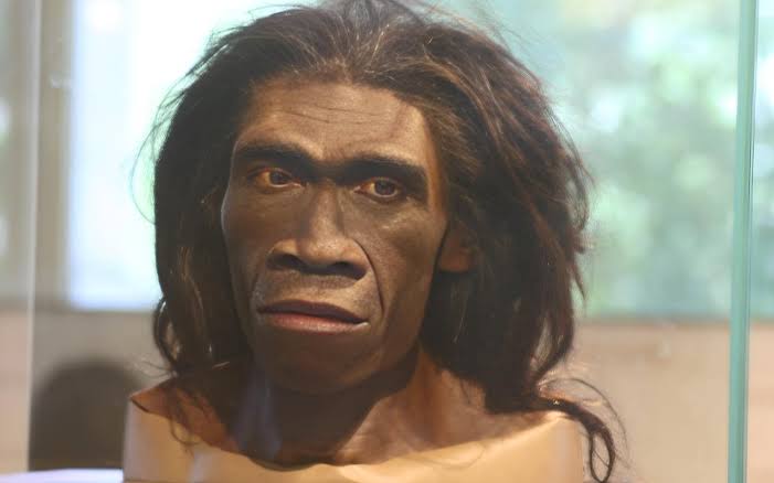 400,000-year-old Homo erectus proteins reveal genetic links to Denisovans and modern humans