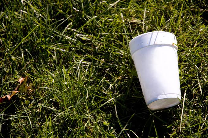Your empty cuppa could capture carbon