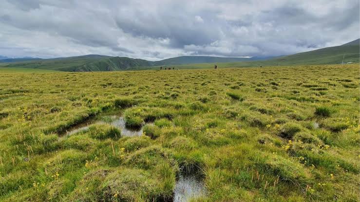 Warming unlocks ancient carbon in Tibetan permafrost, triggering climate tipping point