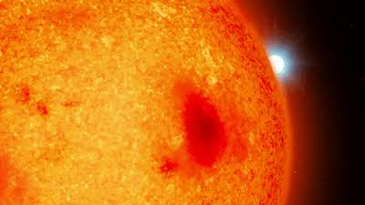 Four New Dead Stars Discovered In The Solar Neighborhood, Within Just 65 Light-Years Of Earth