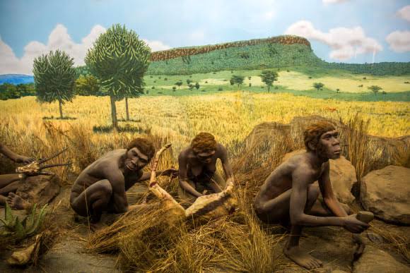 Scientists Find Traces of Two Unknown Archaic Hominins in Human DNA