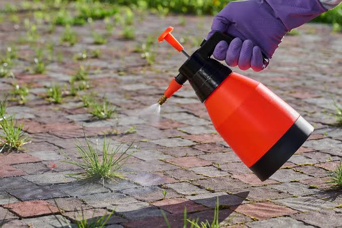 One of the World’s Most Popular Weedkillers May Be Fueling Deadly Superbugs