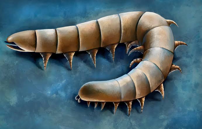 Ancient sea fossils indicate millipede and centipede ancestors evolved their legs while still underwater